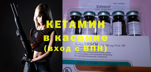 СК Новодвинск