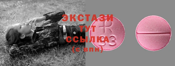 PSILOCYBIN Строитель