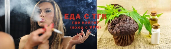 СК Новодвинск