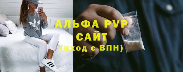 PSILOCYBIN Строитель