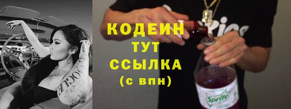кокс Гатчина