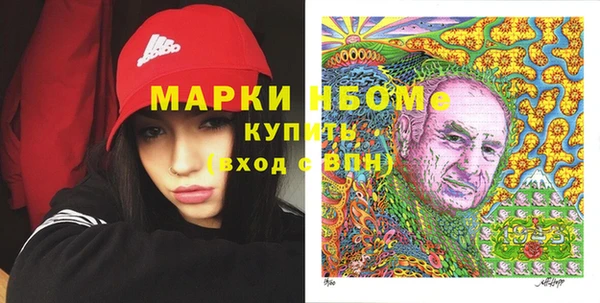 СК Новодвинск