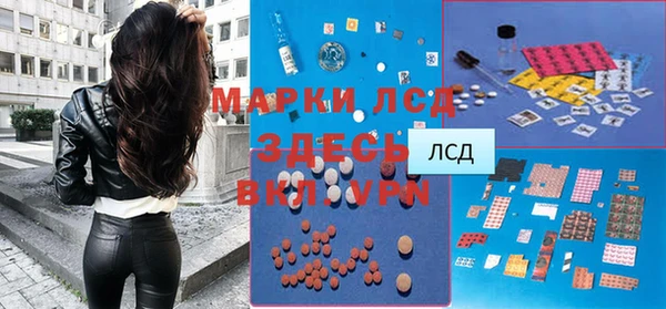PSILOCYBIN Строитель