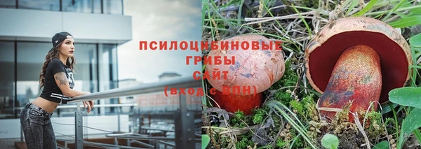 ALPHA-PVP Новозыбков
