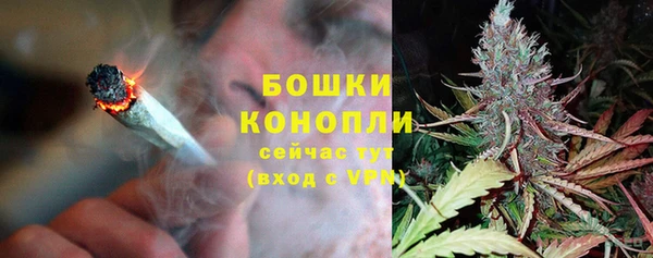 PSILOCYBIN Строитель