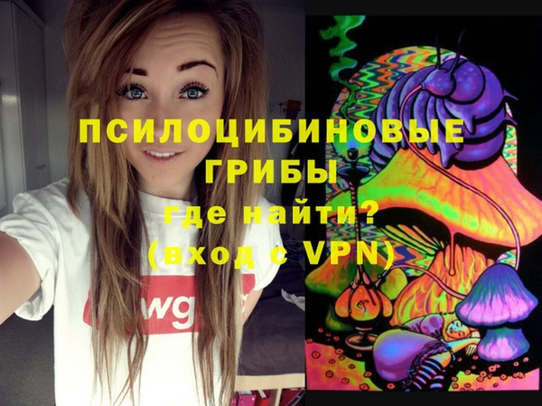 ПСИЛОЦИБИНОВЫЕ ГРИБЫ Ступино