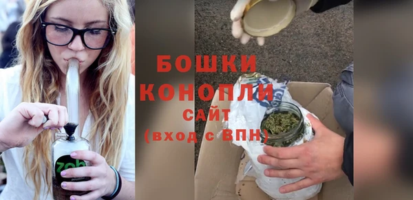 PSILOCYBIN Строитель