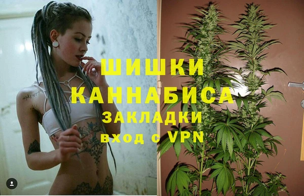СК Новодвинск