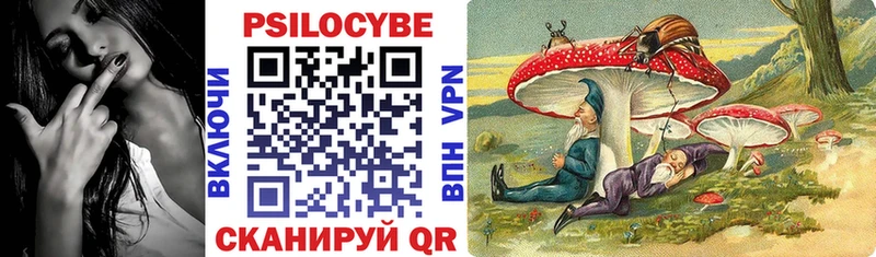 Псилоцибиновые грибы GOLDEN TEACHER  кракен онион  Ак-Довурак 